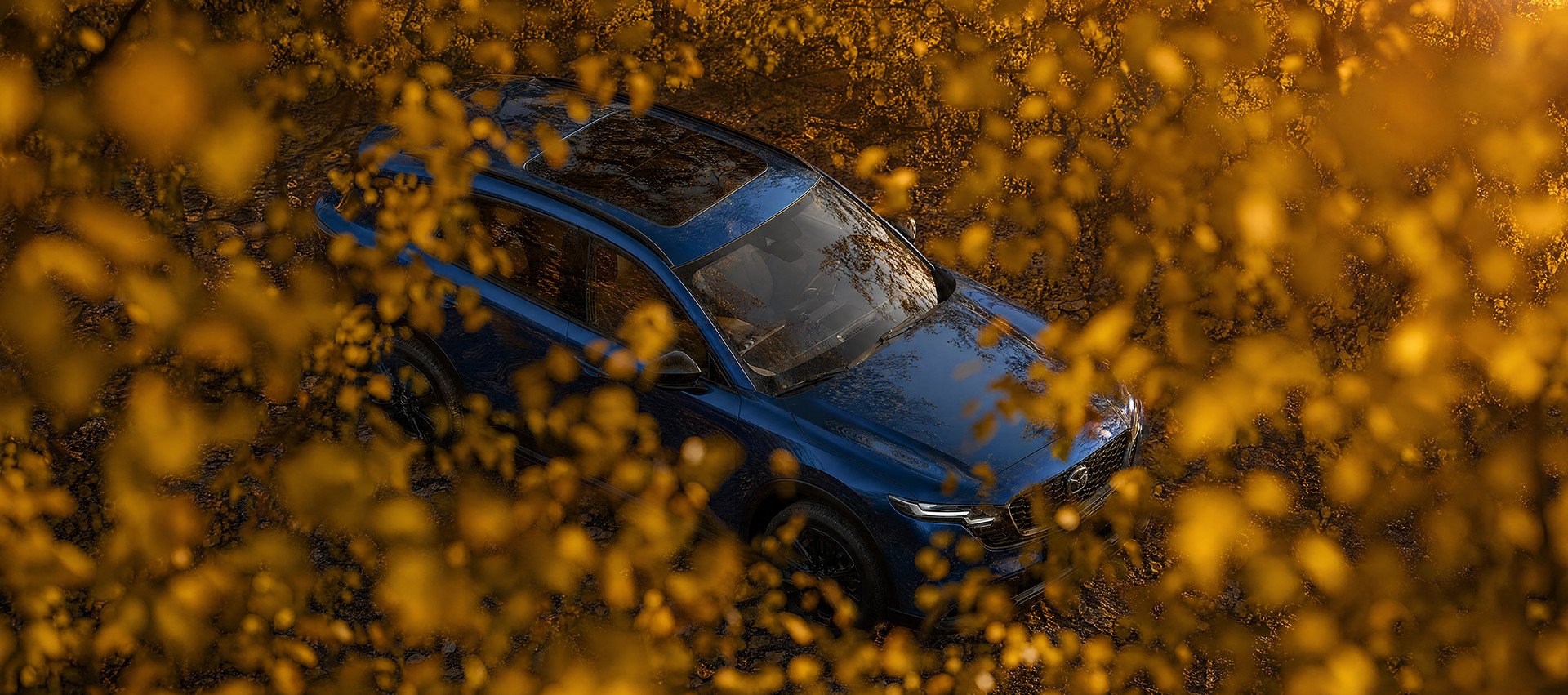 01_cx-5_bottom 5050_1200x750px