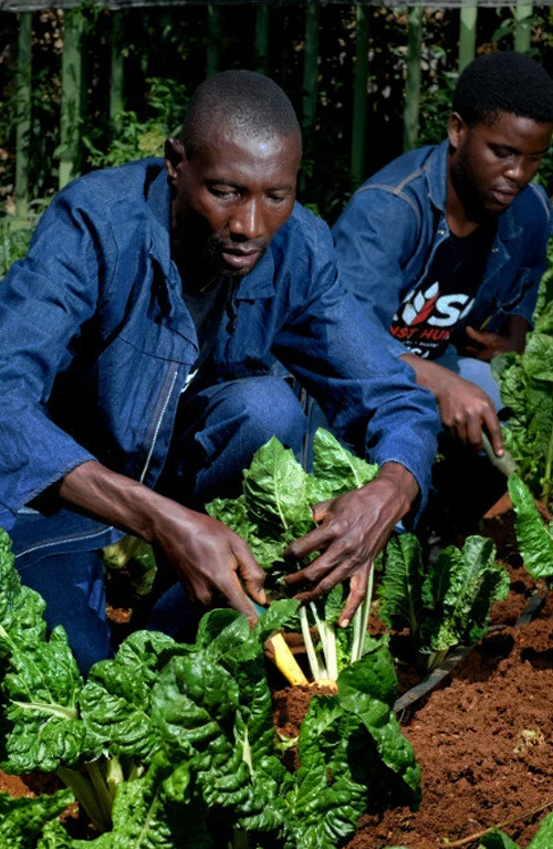 07_rise-against-hunger-page_header_mobile_500x768px